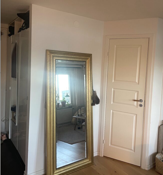 Skärmavbild 2026-05-05 kl. 20.10.11.png