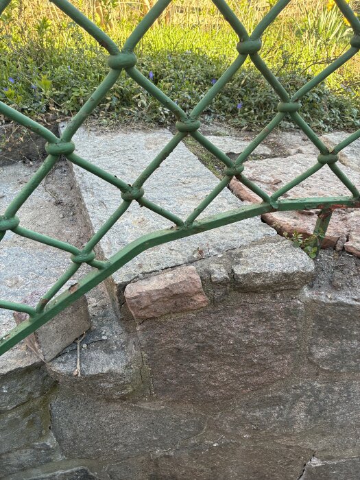 IMG_3950.jpeg