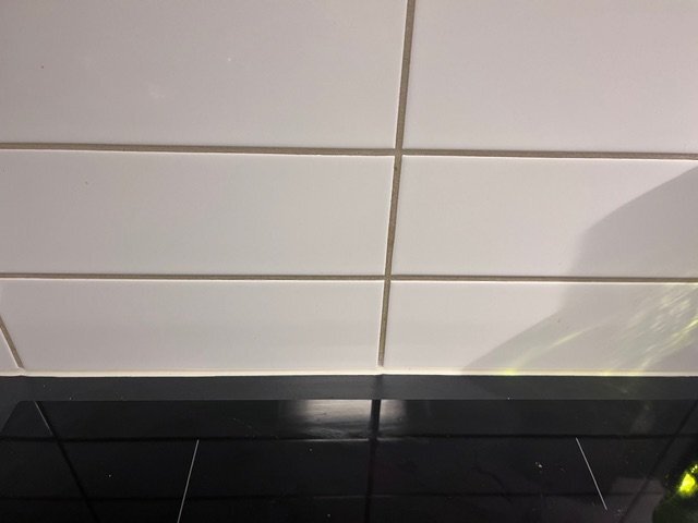 IMG_8172.jpeg