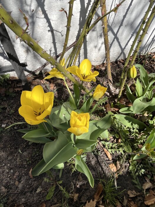 IMG_6292.jpeg