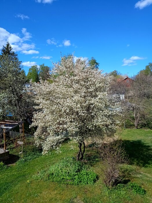 IMG_20260506_150113755_HDR.jpg