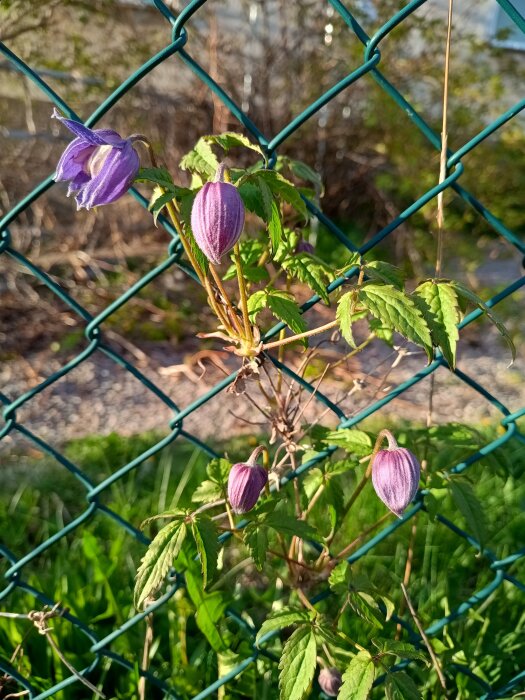 IMG_20260507_192102435_HDR.jpg