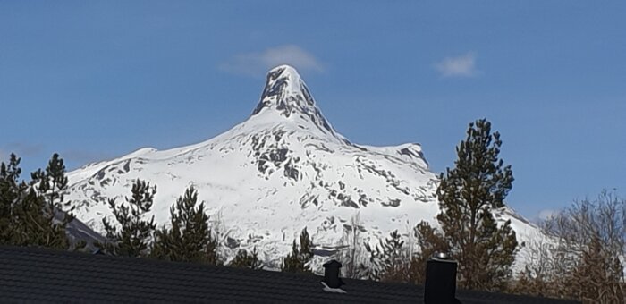 20260508_111740.jpg