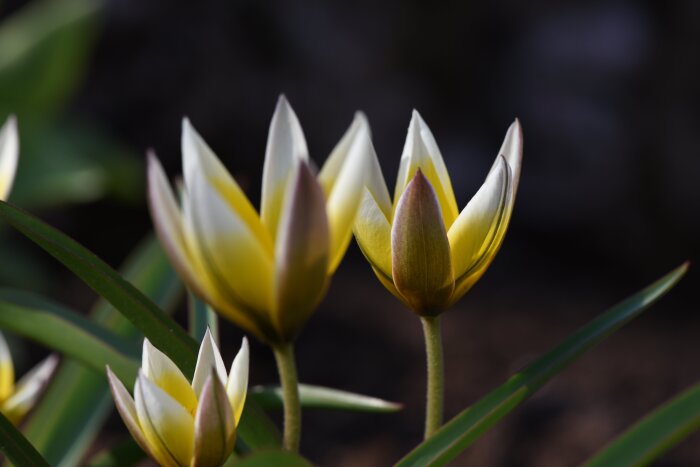 DSC_2058.JPG