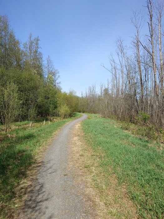 20260509_125613405.JPG
