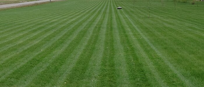 20250512_190824.JPG