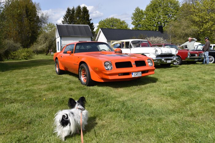 DSC_0037_8.JPG