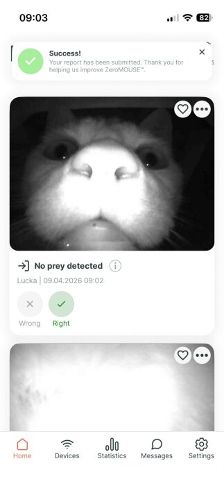 Messenger_creation_6052E4EE-500D-4BE0-BFFE-53554B82FB65.jpeg