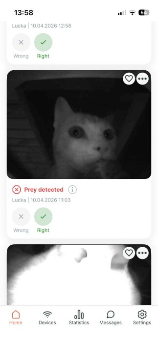 Messenger_creation_DB3B16C1-2C6B-4C77-93D7-7D4E84143BB9.jpeg