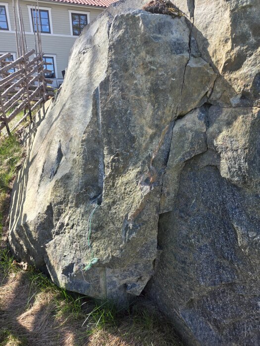 20260510_094828.jpg