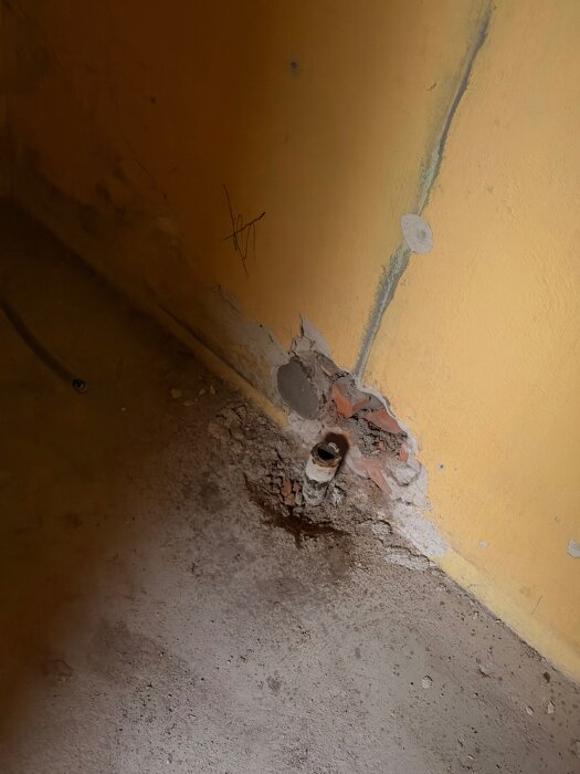 IMG_0207.jpeg