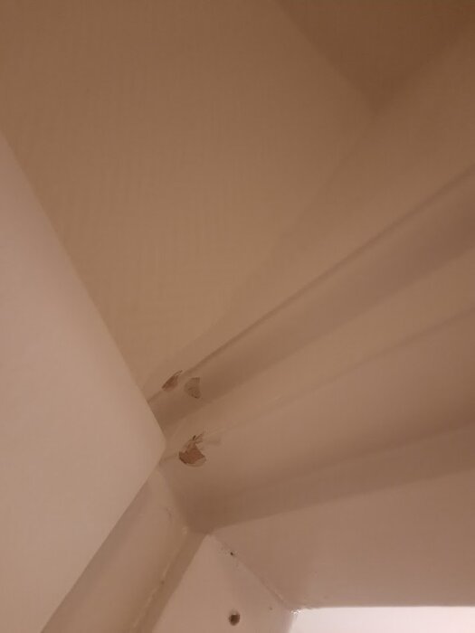20260512_000338.jpg