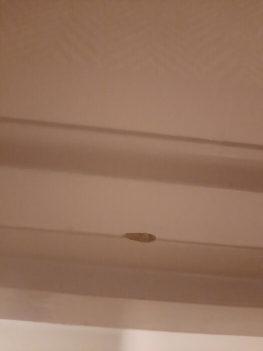20260512_000331.jpg