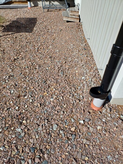20260321_110435.jpg