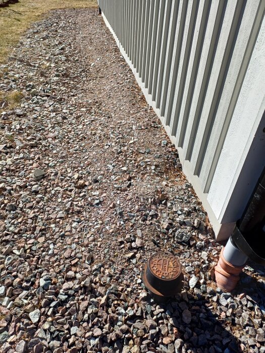 20260321_110401.jpg