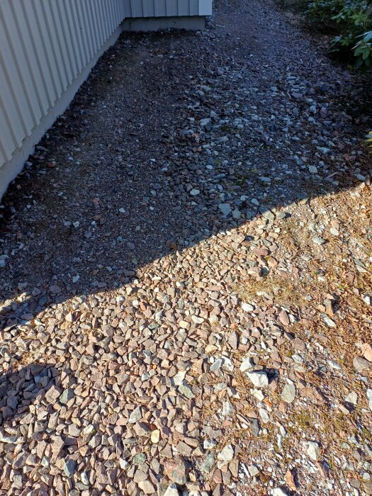 20260321_110409.jpg