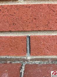 IMG_2851.jpeg