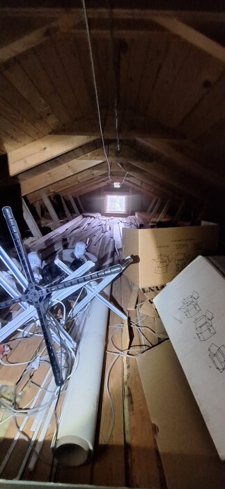 20260513_104011.jpg