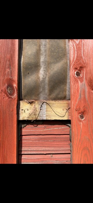 IMG_9294.png