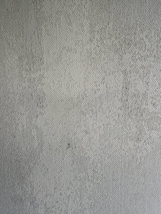IMG_4010.jpeg