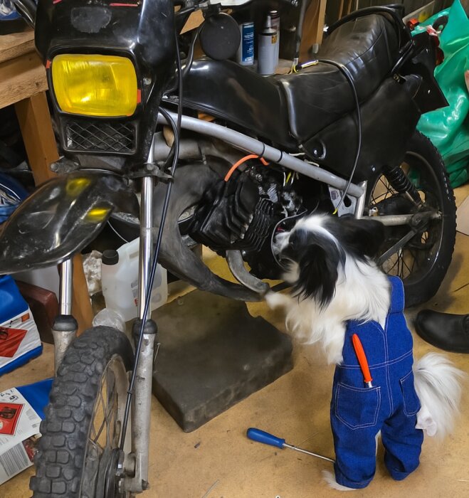 file_00000000e3107246b448f04cee07f00e (1).png