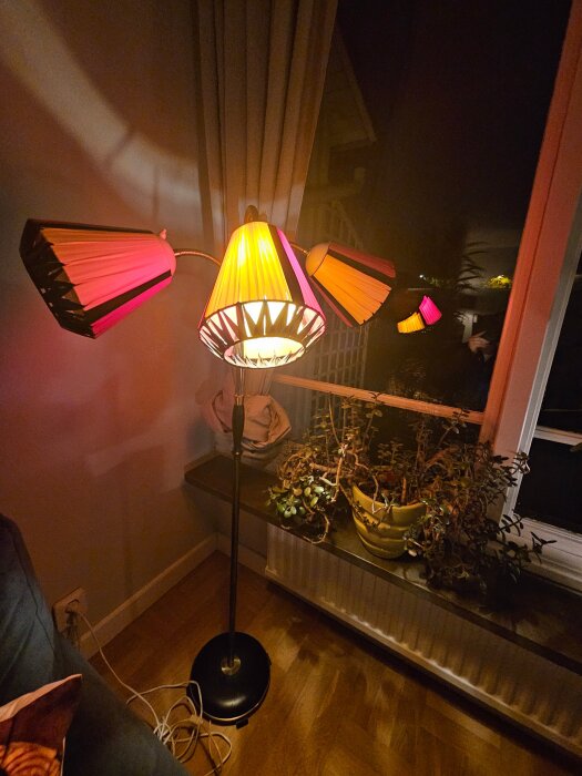 20260515_232351.jpg