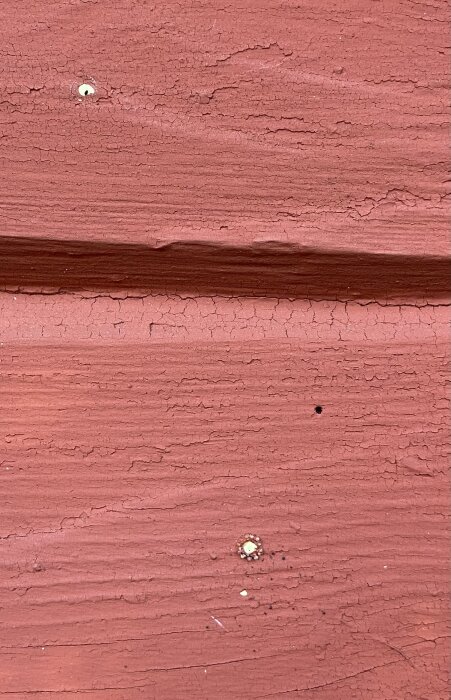 IMG_0477.jpeg