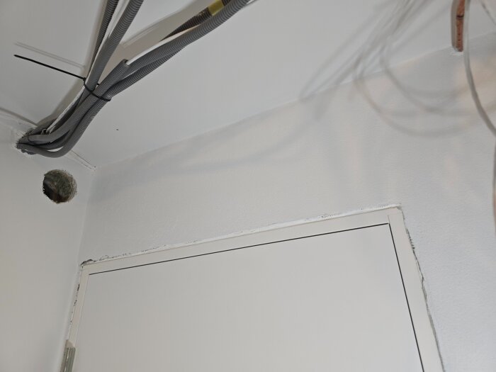 20260421_220110.jpg
