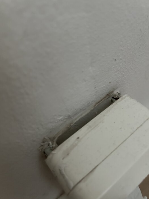 IMG_7710.jpeg