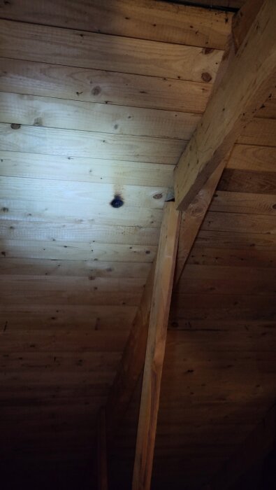 IMG_20260517_081726.jpg