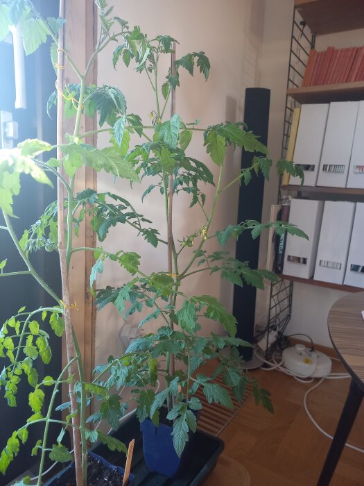 20260517_191332.jpg