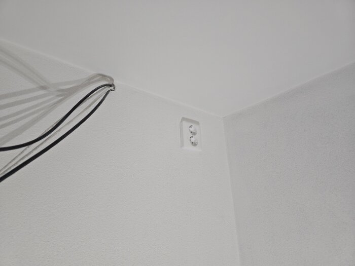 20260422_215035.jpg