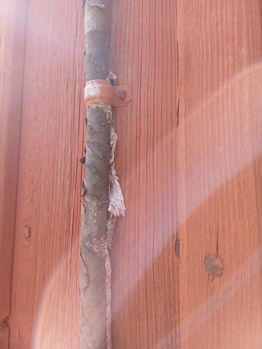 image-1779090566959.jpg