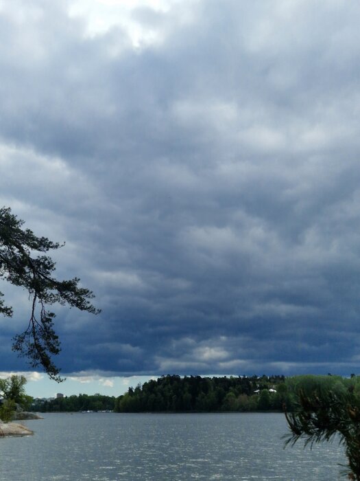 20260517_121952.jpg