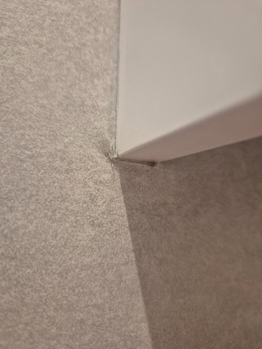 20260518_223510.jpg