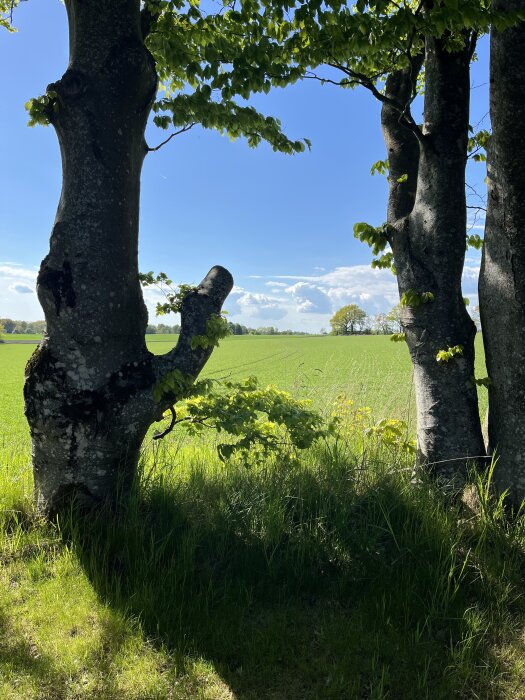 IMG_6860.jpeg