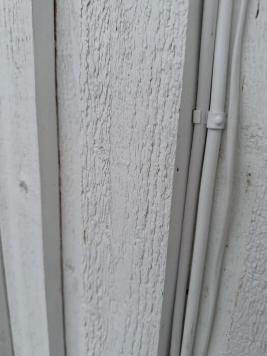 IMG_0273.jpeg