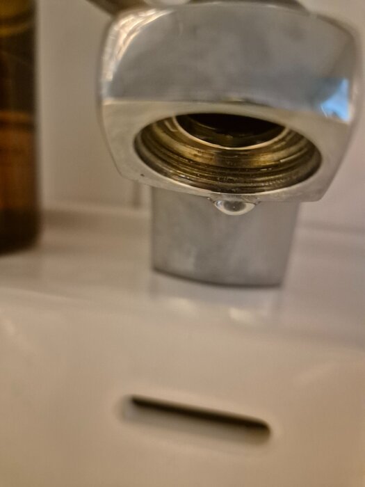 20260519_152554.jpg