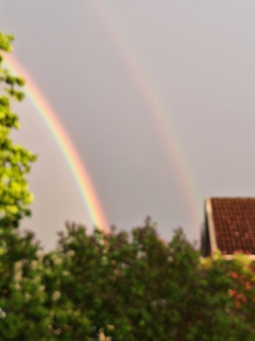 20260521_203248.jpg