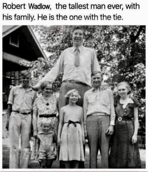 1779392656266.jpeg