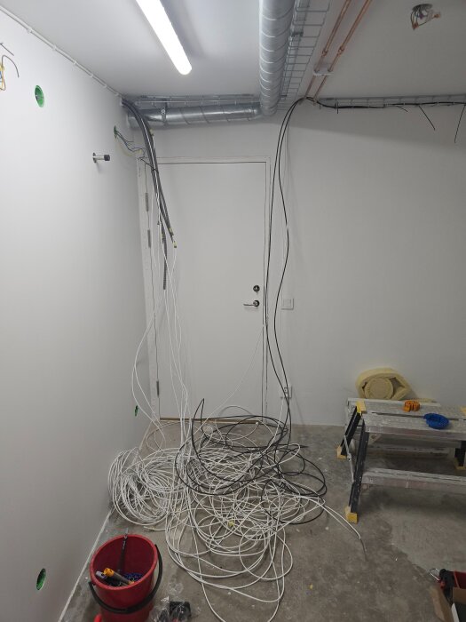 20260426_235733.jpg