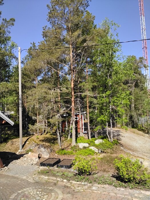 20260523_105846.jpg
