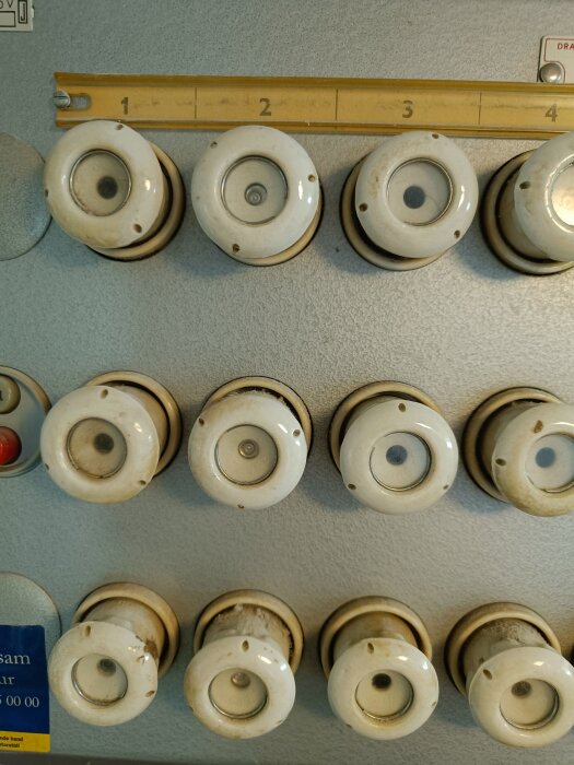 IMG20260523125127.jpg