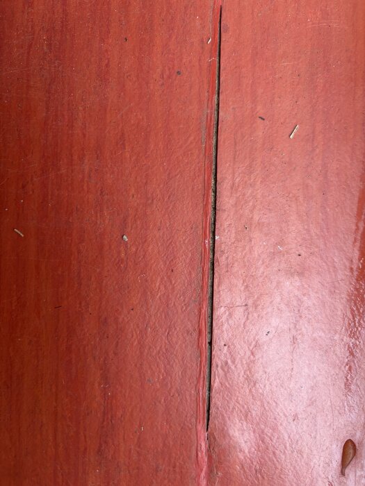 IMG_5792.jpeg