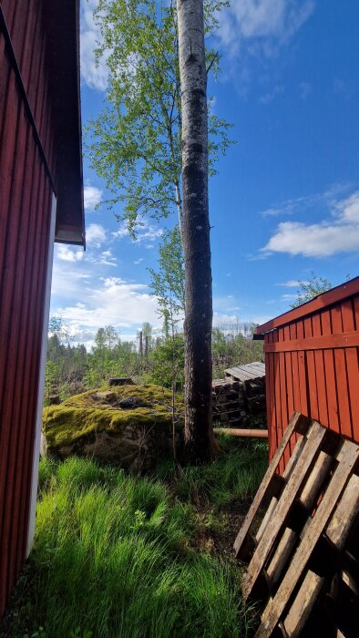 20260521_182658.jpg