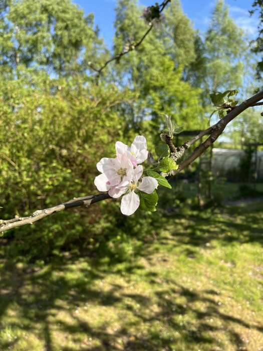 IMG_6873.jpeg
