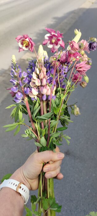 IMG_20260525_085150.jpg