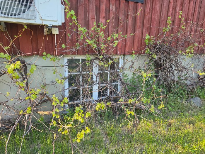 20260526_202752.jpg