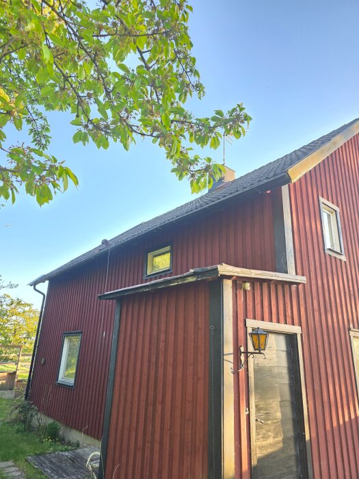 20260526_203344.jpg