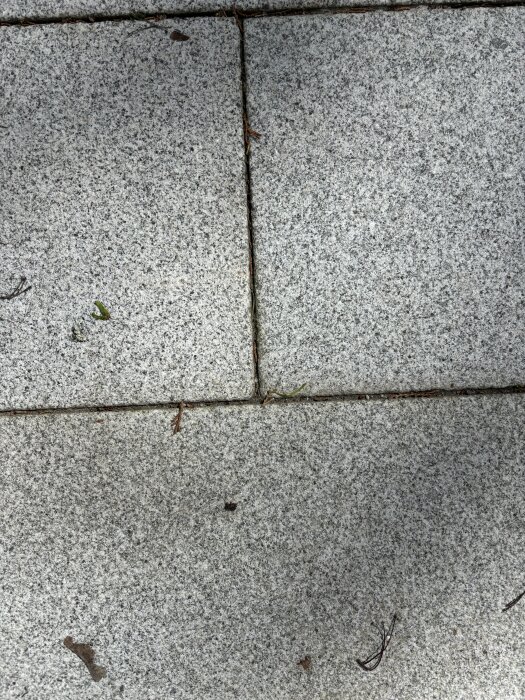 IMG_6810.jpeg